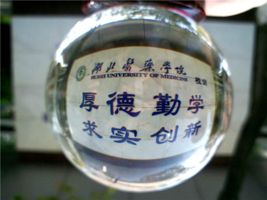小蝌蚪找妈妈卡纸贴画-湖医药.校训 韵韵医魂,百年校训.到了最后,我终于还是遇到了你.